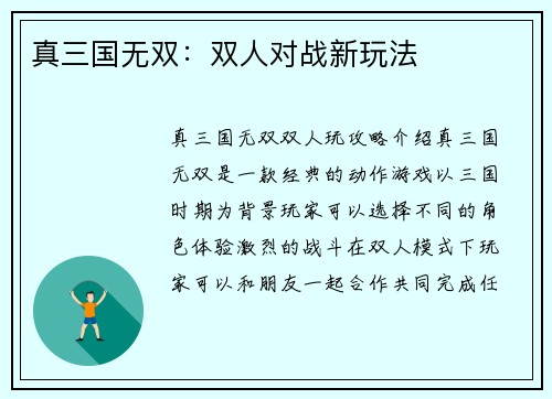真三国无双：双人对战新玩法